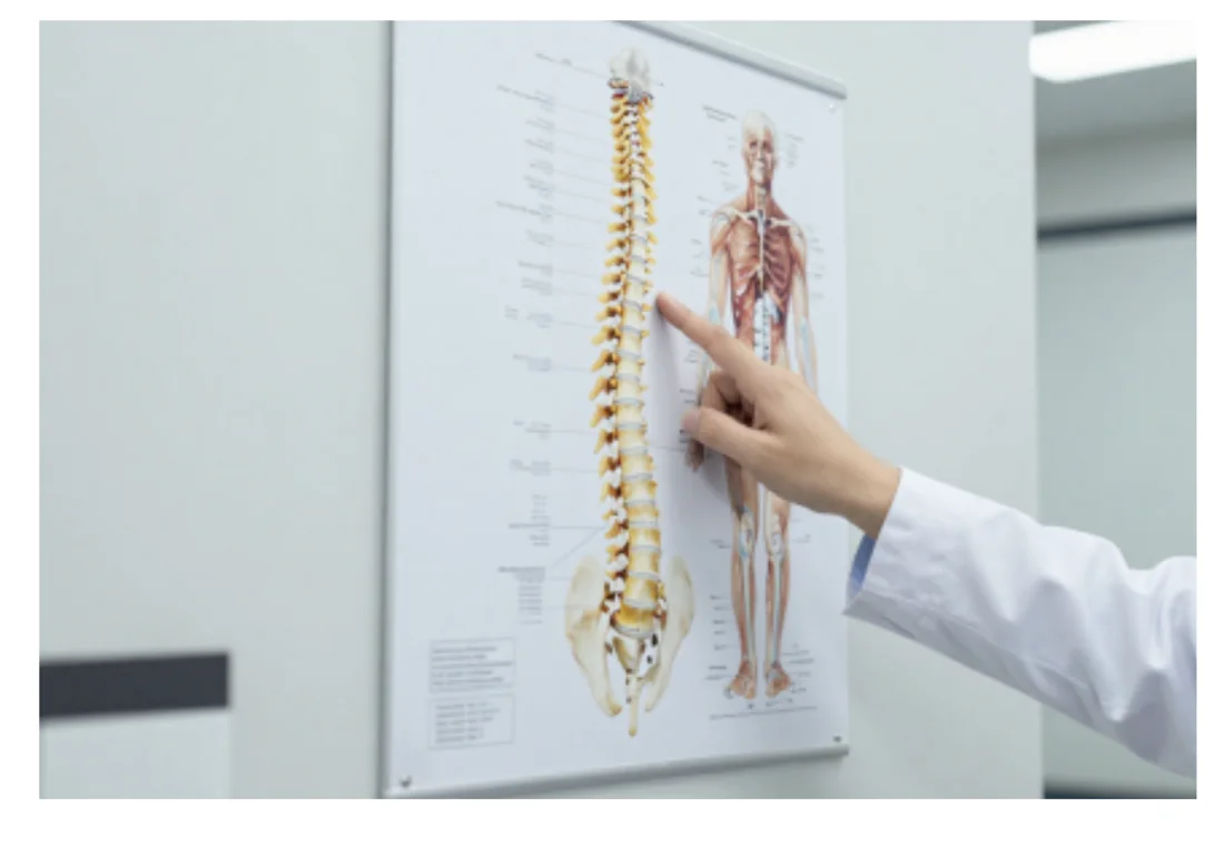 Chiropractor pointing to a spinal anatomy chart while explaining a diagnosis and care plan